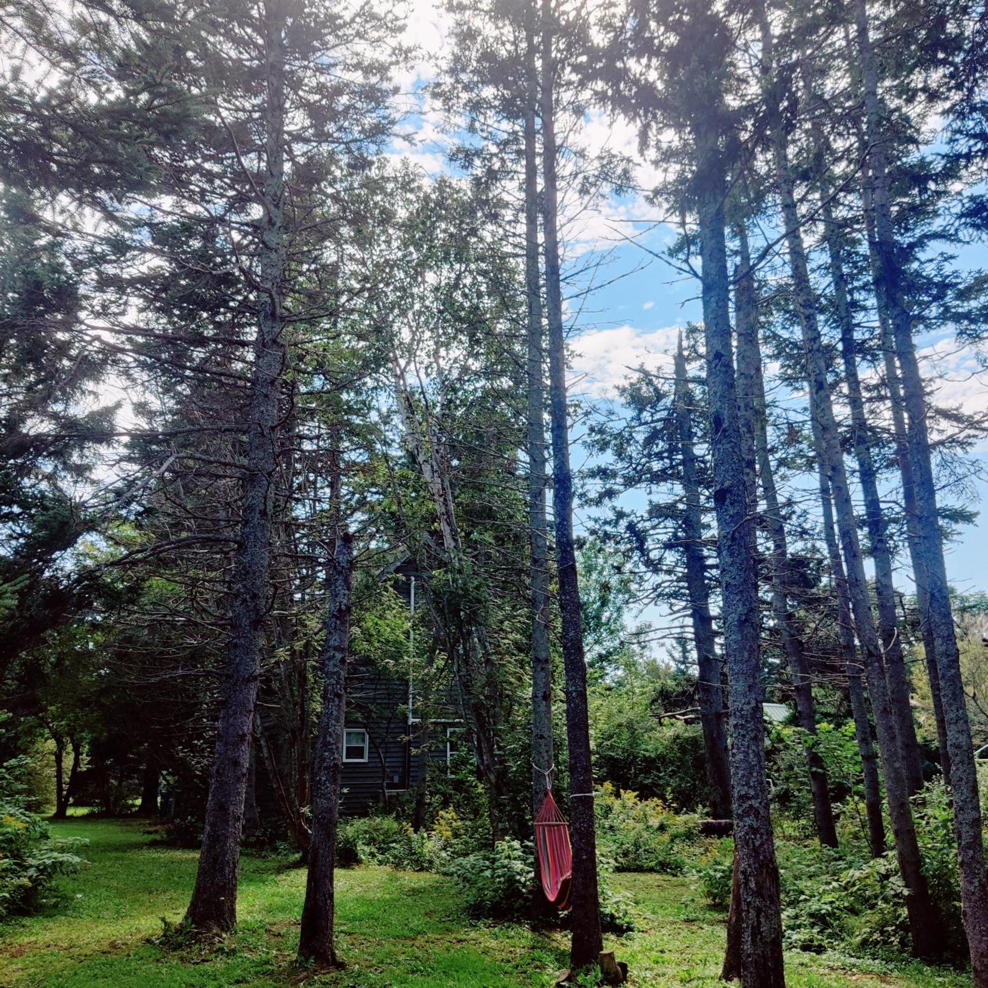 Avonlea Forest Hill Cottages New Glasgow Ngoại thất bức ảnh